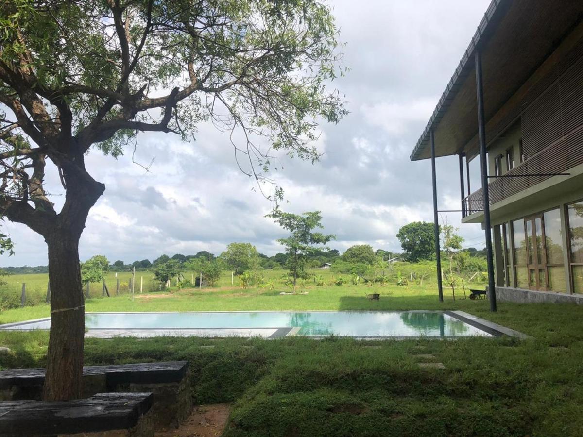 Tree Tops Yala Exterior photo